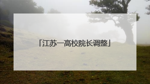 江苏一高校院长调整