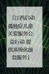 江西启动孤独症儿童关爱服务公益行动 提供系统化康复服务