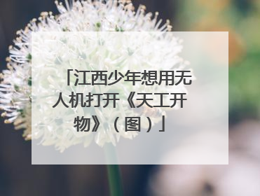 江西少年想用无人机打开《天工开物》（图）