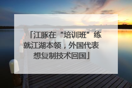 江豚在“培训班”练就江湖本领，外国代表想复制技术回国