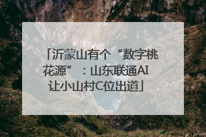 沂蒙山有个“数字桃花源”：山东联通AI让小山村C位出道