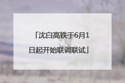沈白高铁于6月1日起开始联调联试