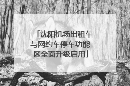 沈阳机场出租车与网约车停车功能区全面升级启用