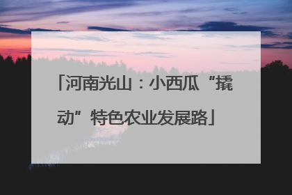 河南光山：小西瓜“撬动”特色农业发展路