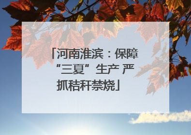 河南淮滨：保障“三夏”生产 严抓秸秆禁烧