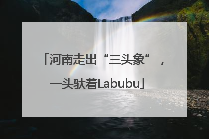 河南走出“三头象”，一头驮着Labubu
