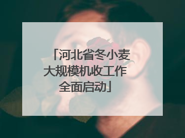 河北省冬小麦大规模机收工作全面启动