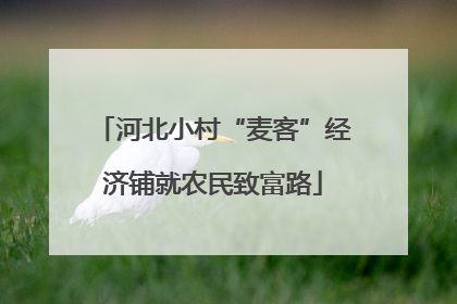 河北小村“麦客”经济铺就农民致富路