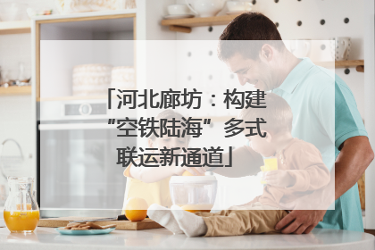 河北廊坊：构建“空铁陆海”多式联运新通道