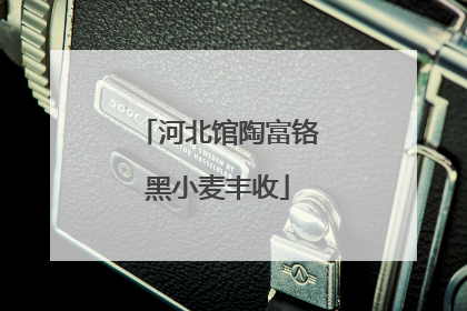 河北馆陶富铬黑小麦丰收