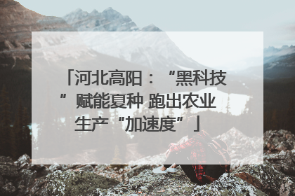 河北高阳：“黑科技”赋能夏种 跑出农业生产“加速度”