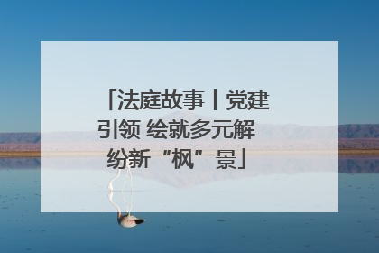 法庭故事丨党建引领 绘就多元解纷新“枫”景