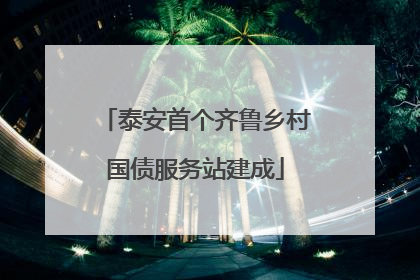 泰安首个齐鲁乡村国债服务站建成