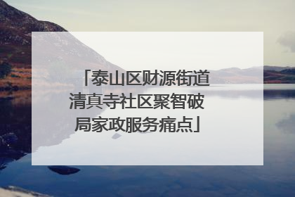 泰山区财源街道清真寺社区聚智破局家政服务痛点