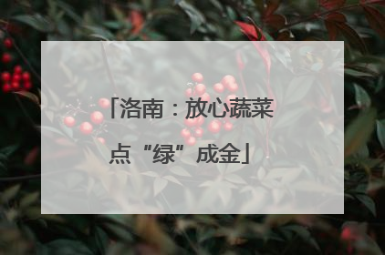 洛南：放心蔬菜点“绿”成金