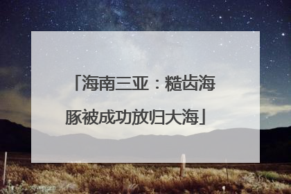 海南三亚：糙齿海豚被成功放归大海