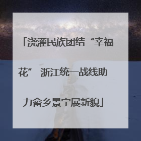 浇灌民族团结“幸福花” 浙江统一战线助力畲乡景宁展新貌