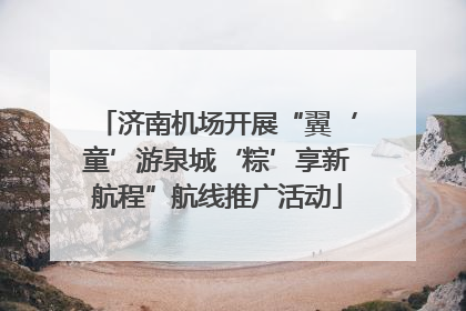 济南机场开展“翼‘童’游泉城‘粽’享新航程”航线推广活动