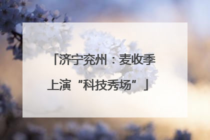 济宁兖州：麦收季上演“科技秀场”