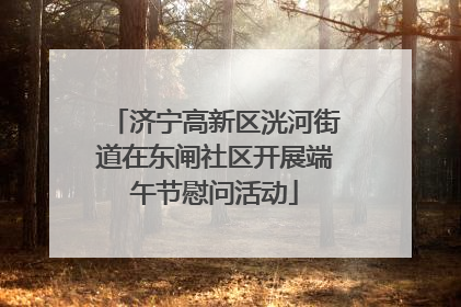 济宁高新区洸河街道在东闸社区开展端午节慰问活动