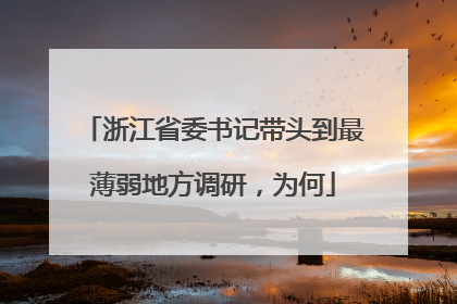 浙江省委书记带头到最薄弱地方调研，为何