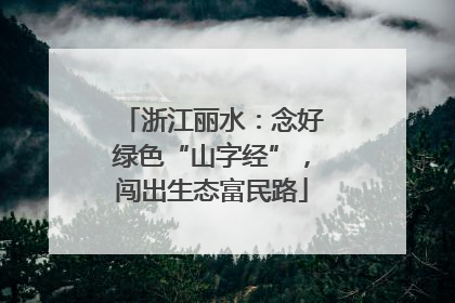 浙江丽水：念好绿色“山字经”，闯出生态富民路