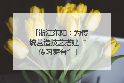 浙江东阳：为传统营造技艺搭建“传习舞台”