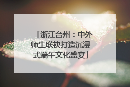 浙江台州：中外师生联袂打造沉浸式端午文化盛宴