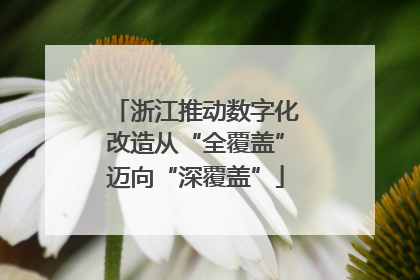 浙江推动数字化改造从“全覆盖”迈向“深覆盖”