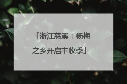 浙江慈溪：杨梅之乡开启丰收季