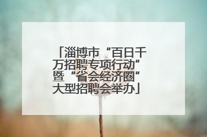 淄博市“百日千万招聘专项行动”暨“省会经济圈”大型招聘会举办