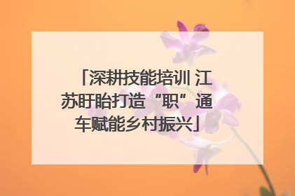 深耕技能培训 江苏盱眙打造“职”通车赋能乡村振兴