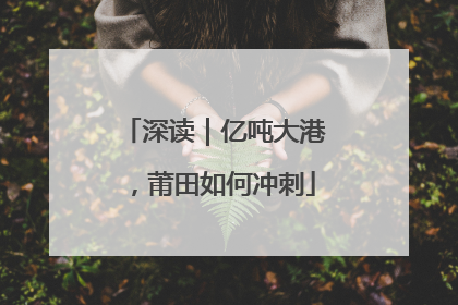 深读｜亿吨大港，莆田如何冲刺