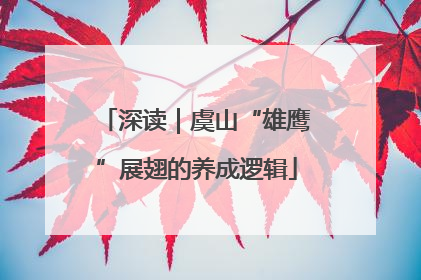 深读｜虞山“雄鹰”展翅的养成逻辑