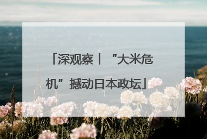 深观察丨“大米危机”撼动日本政坛