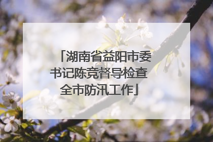 湖南省益阳市委书记陈竞督导检查全市防汛工作