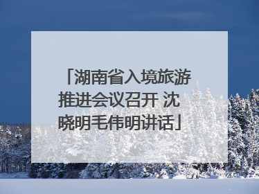 湖南省入境旅游推进会议召开 沈晓明毛伟明讲话