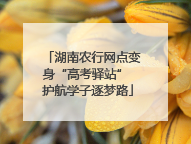 湖南农行网点变身“高考驿站” 护航学子逐梦路
