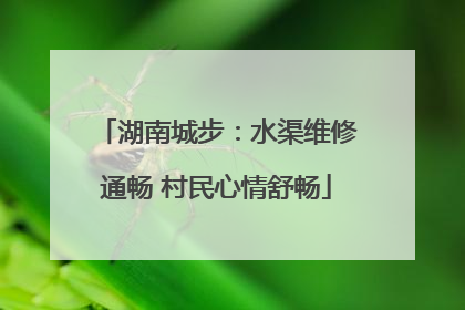 湖南城步：水渠维修通畅 村民心情舒畅