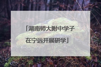 湖南师大附中学子在宁远开展研学