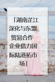 湖南芷江深化与东盟贸易合作 企业借力国际陆港拓市场