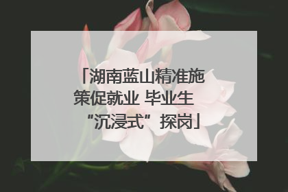 湖南蓝山精准施策促就业 毕业生“沉浸式”探岗