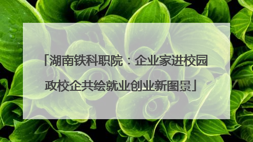 湖南铁科职院：企业家进校园 政校企共绘就业创业新图景