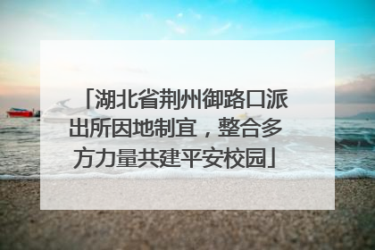 湖北省荆州御路口派出所因地制宜，整合多方力量共建平安校园