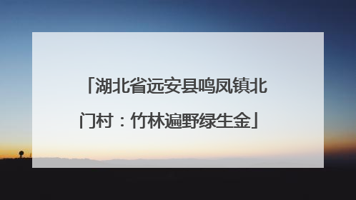 湖北省远安县鸣凤镇北门村：竹林遍野绿生金