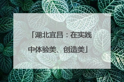 湖北宜昌：在实践中体验美、创造美