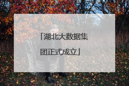 湖北大数据集团正式成立