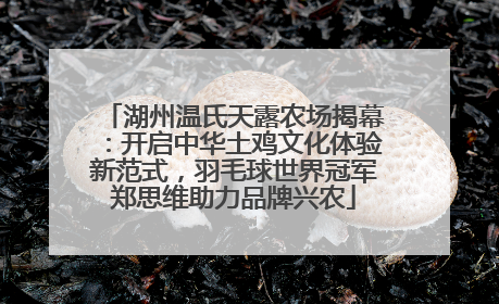 湖州温氏天露农场揭幕：开启中华土鸡文化体验新范式，羽毛球世界冠军郑思维助力品牌兴农