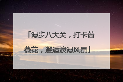 漫步八大关，打卡蔷薇花，邂逅浪漫风景