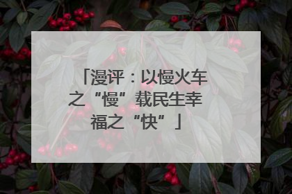 漫评：以慢火车之“慢”载民生幸福之“快”